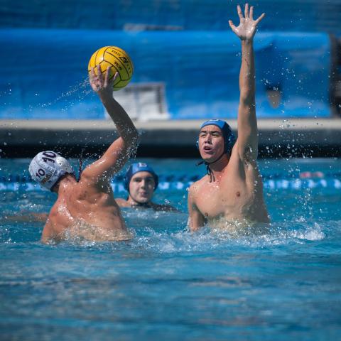 Water Polo 2017