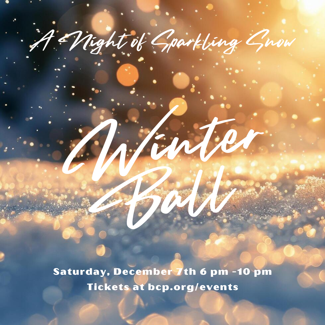 Winter Ball 25